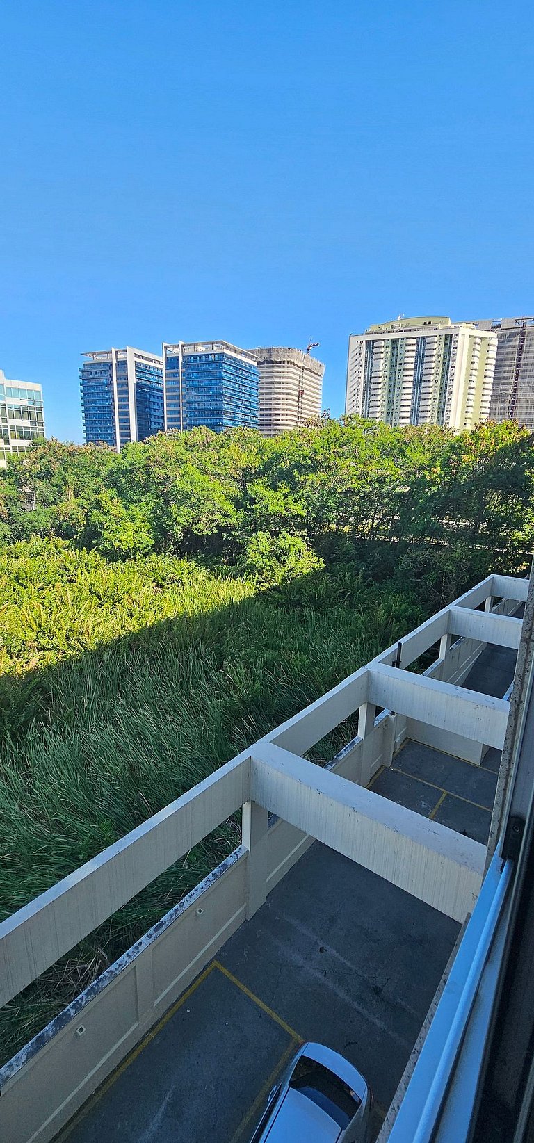 Option Green Grove (417-A)